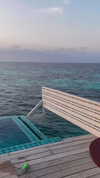 liya_manor_ Altpins Profile Picture