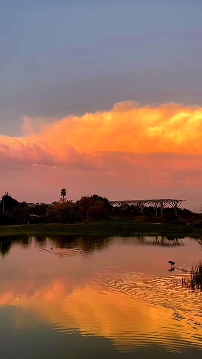 neomiconrad neomiconrad archive video