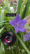 zz.eazoning Altpins Profile Picture