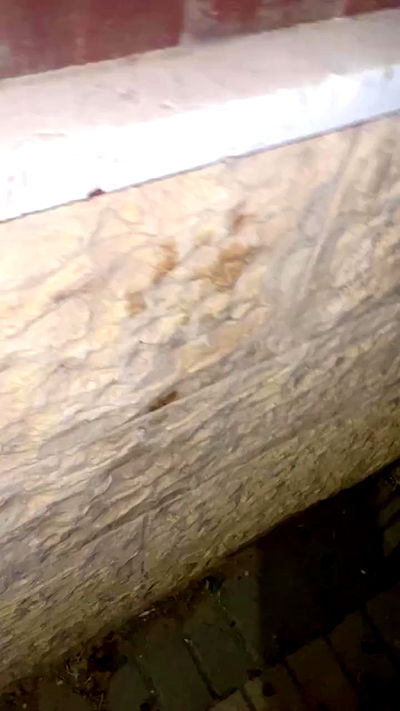 efrat_elmalich efrat_elmalich archive video