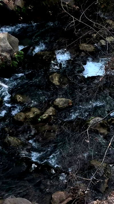 iambohema.v2 iambohema.v2 archive video