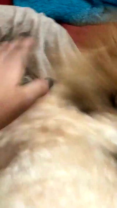 feelbetterinmysweater feelbetterinmysweater archive video