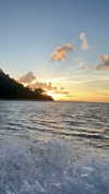 noa_mendel_ Altpins Profile Picture