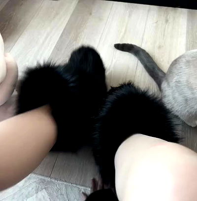 wuvkyu wuvkyu archive video