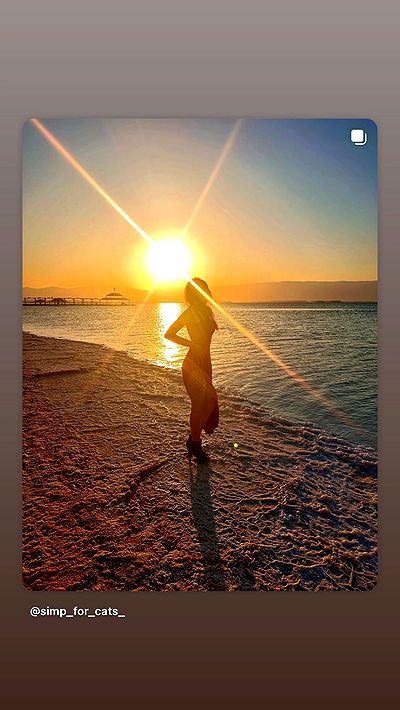 simp_for_cats_ simp_for_cats_ archive video