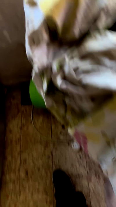 hanabellask8 hanabellask8 archive video