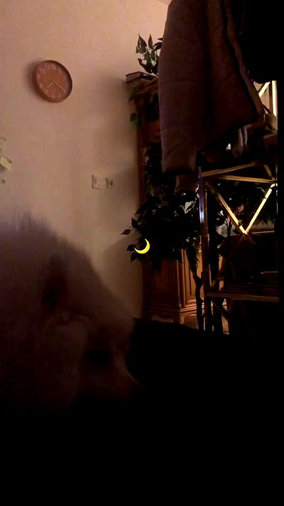 romy_ayalla_lavi romy_ayalla_lavi archive video