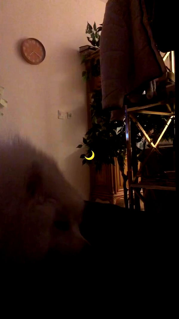 romy_ayalla_lavi archive video preview