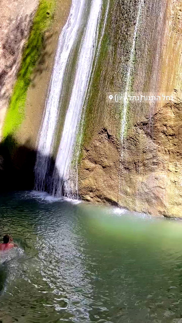 liad.arazi archive video preview