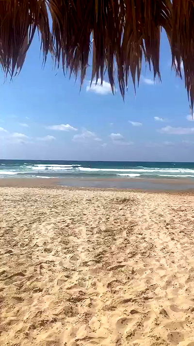 yam_adler yam_adler archive video