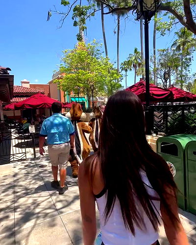 tiliaoficial tiliaoficial archive video