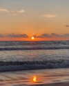 noam_alon1 Altpins Profile Picture