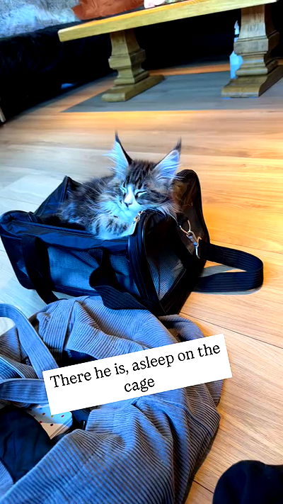 silkton silkton archive video