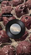 zz.eazoning Altpins Profile Picture