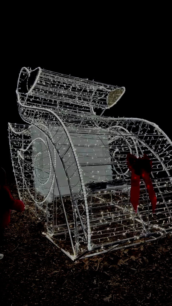 yael_p_16 archive video preview