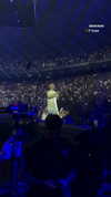 amit.yaron Altpins Profile Picture