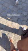 minicuta Altpins Profile Picture