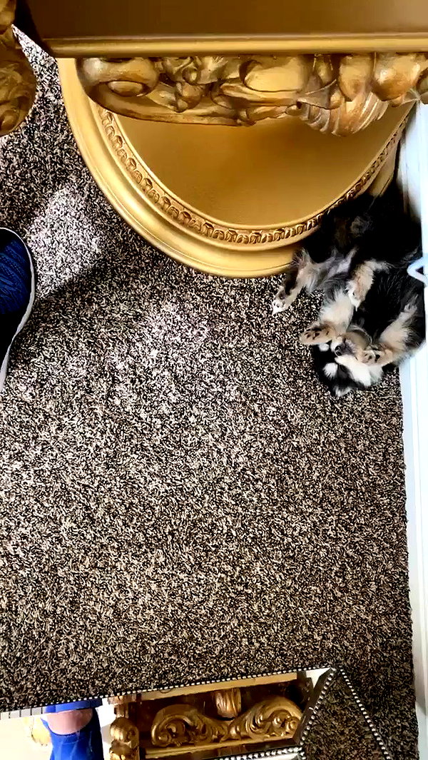 jailyneojeda archive video preview