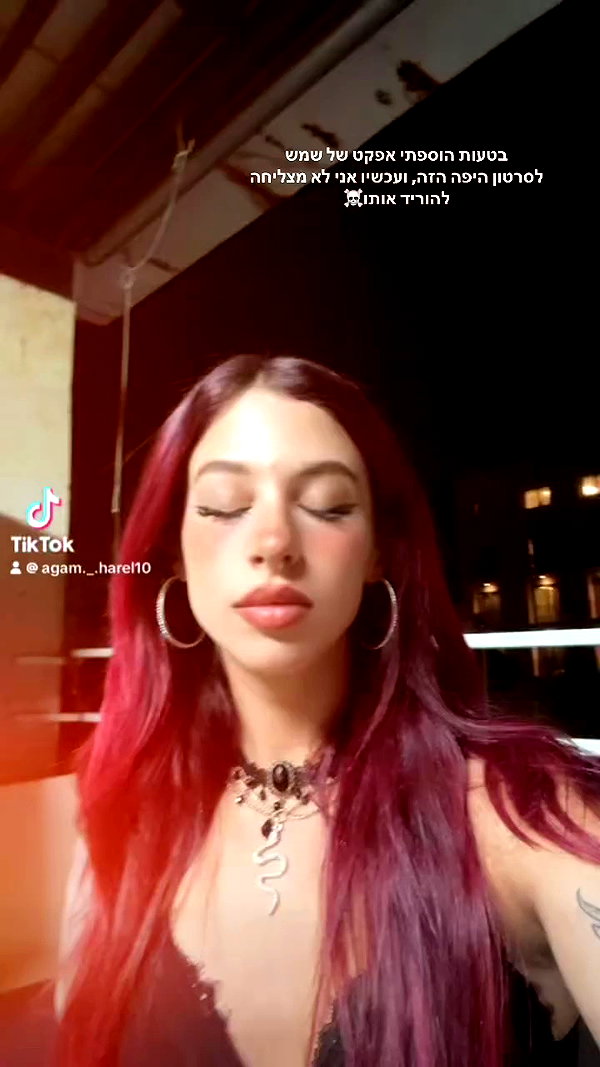agam._.harel archive video preview