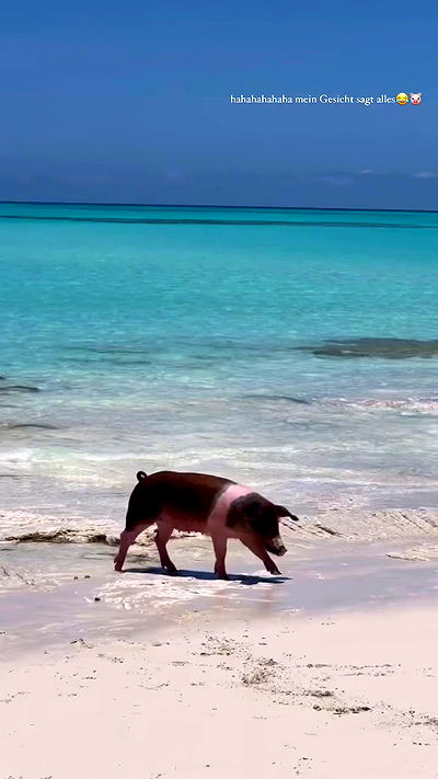 payton.r payton.r archive video