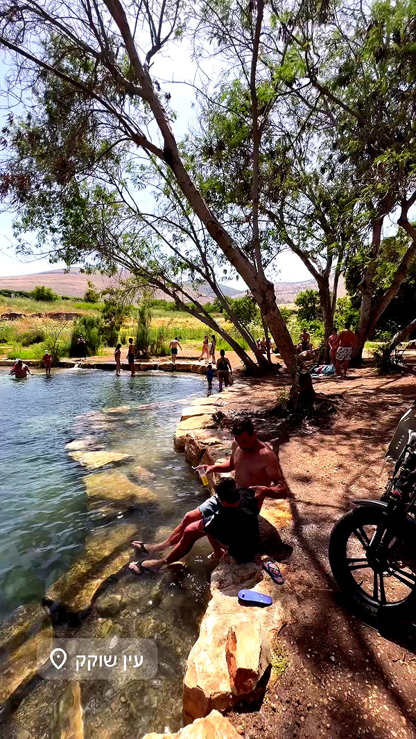 liad.arazi archive video preview