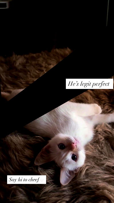 tatum.ricee tatum.ricee archive video