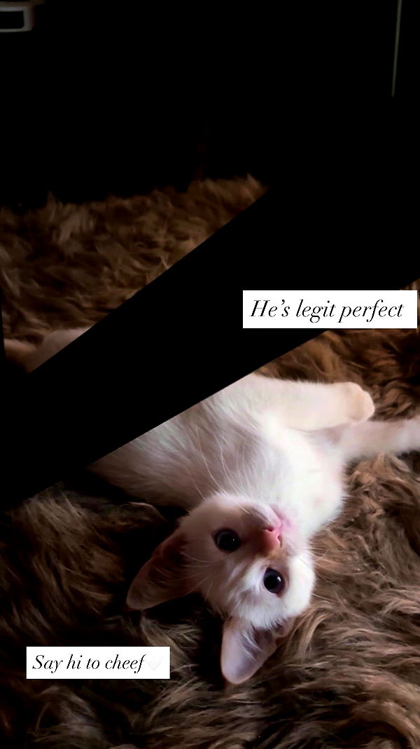 tatum.ricee archive video preview