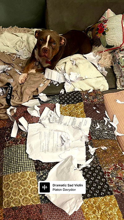 kesemgreenyer kesemgreenyer archive video