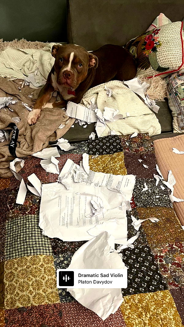 kesemgreenyer archive video preview