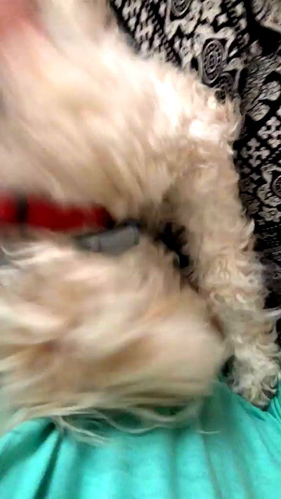 feelbetterinmysweater feelbetterinmysweater archive video