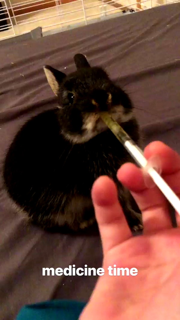 emiru.jpg archive video preview