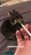 emiru.jpg Altpins Profile Picture