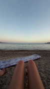 daniella_zeldis Altpins Profile Picture
