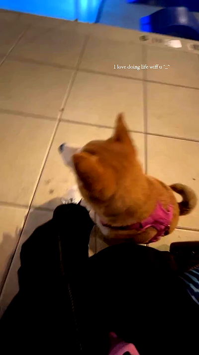 zommmbri zommmbri archive video