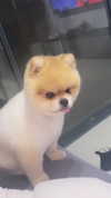 mayedri1 Altpins Profile Picture