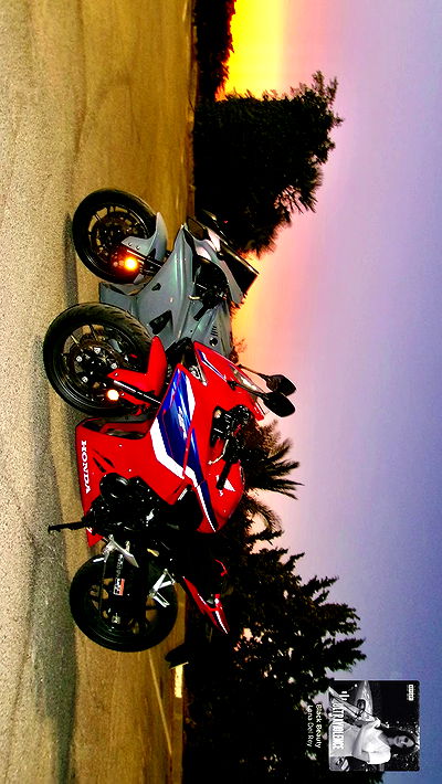 simp_for_cats_ simp_for_cats_ archive video