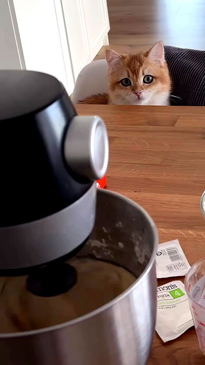 itsilanosh itsilanosh archive video