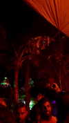 noa_mendel_ Altpins Profile Picture
