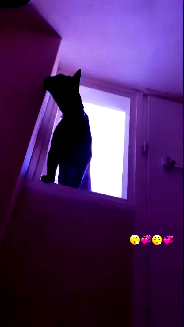 feelbetterinmysweater archive video preview