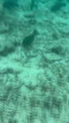 lior_lotati Altpins Profile Picture