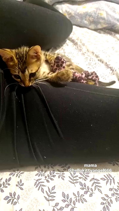 shayli_or shayli_or archive video