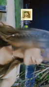 eusandyyh Altpins Profile Picture