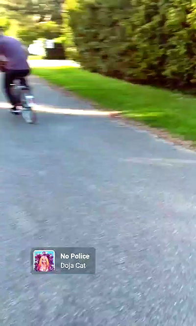 bakedsloths bakedsloths archive video