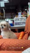 chranababy Altpins Profile Picture