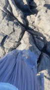 ochya0 Altpins Profile Picture