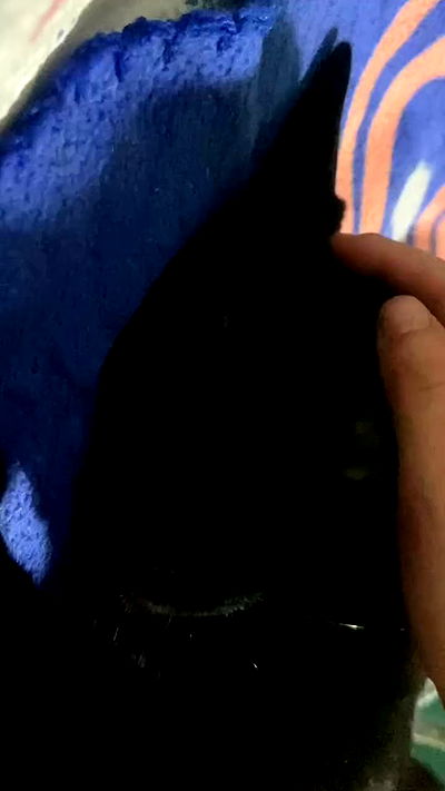 feelbetterinmysweater feelbetterinmysweater archive video