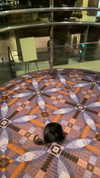 sydney_melman Altpins Profile Picture