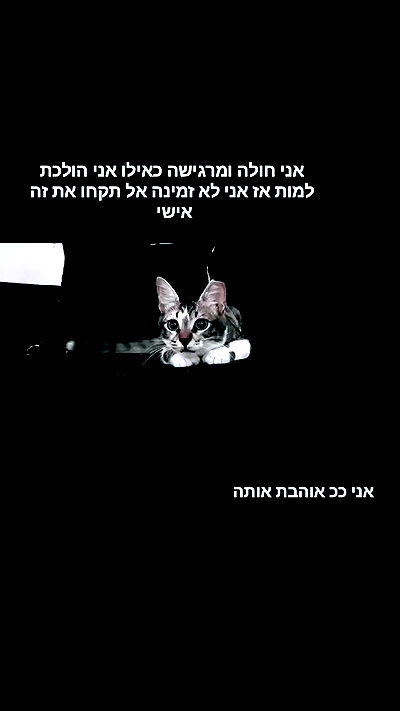 moonyyyya moonyyyya archive video