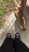 dina_shrago Altpins Profile Picture