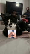 cellow111 Altpins Profile Picture